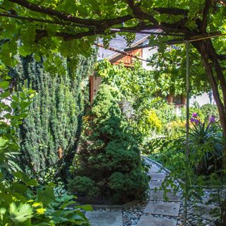 Anikó Apartman Keszthely (4)