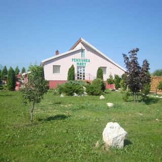 Pensiunea Mary Aghireș (4)