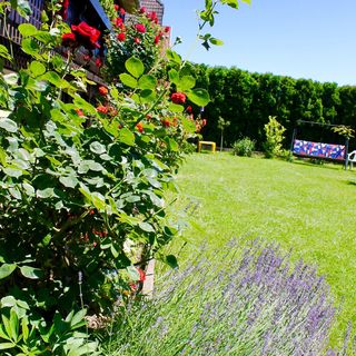 Rózsaház Balatonfüred (3)