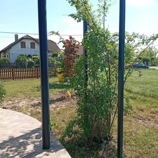 Benkő Apartman Balatonszemes (4)