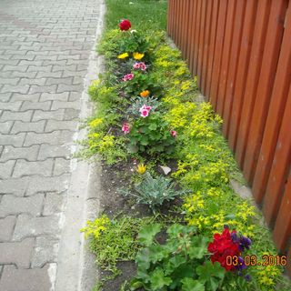 Apartament Judith Turda (3)