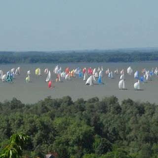 Vadszőlő Vendégház Vonyarcvashegy (2)