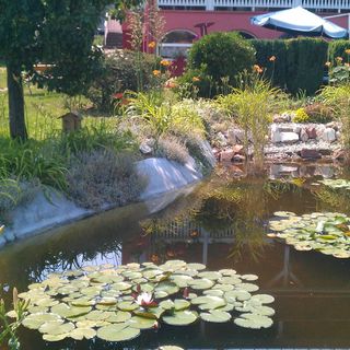 Németh Apartmanok Zalakaros (4)