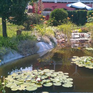 Németh Apartmanok Zalakaros (4)