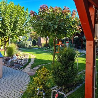 Rózsa Panzió Balatonfüred (3)