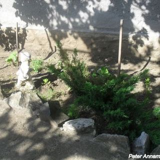 Pensiunea Péter Annamária & Géza Cristur (5)