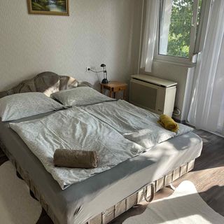 Marianna Apartman Balatonföldvár (4)