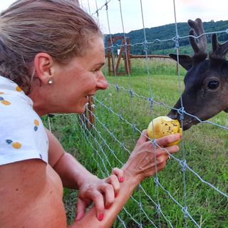 Pálos Resort Zalacsány (4)