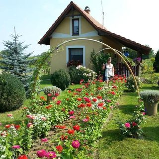 Éva Lak Kiskunmajsa (2)