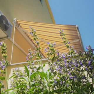 Apartman Brijuni Poreč (4)