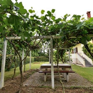 Apartman Brijuni Poreč (5)