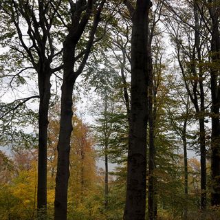 Jurta Szállás Dobogókő (4)