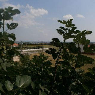 Fehér Rózsa Apartman Cserszegtomaj (2)