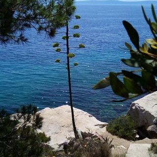 Vila Dan Slatine (2)