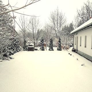 Amberg Vendégház Zirc (2)