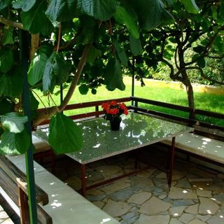 Apartments Marko Novigrad (3)