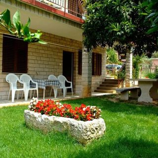 Apartments Marko Novigrad (5)