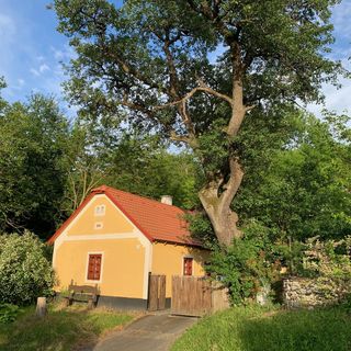 Vörösmarty Ház Kapolcs (4)