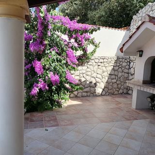 Apartmani Jagoda Rab (5)