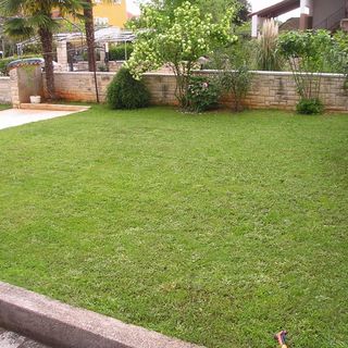 Apartmani Cerin Rovinj (3)