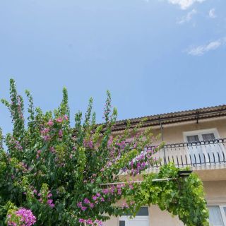 Apartman Zorić Biograd na Moru (5)