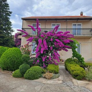 Apartman Zorić Biograd na Moru (3)