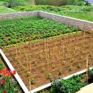 Apartmani Adria Rtina (5)