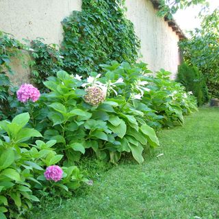 Cseresznyéskert Vendégház Sárospatak (3)