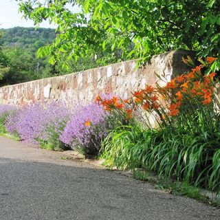 Ady Vendégház Paloznak (5)