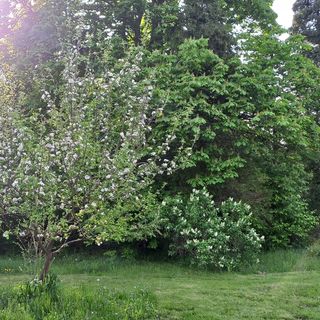 Bárányos Vendégház Őriszentpéter (3)