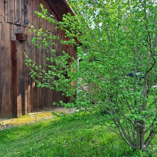 Bárányos Vendégház Őriszentpéter (4)