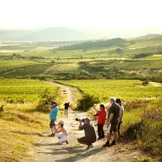 Barka Galéria Hotel és Étterem Tállya (3)