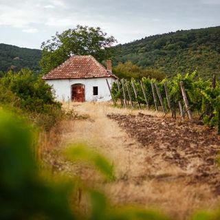Barka Galéria Hotel és Étterem Tállya (4)