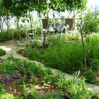 Apartmani Juroš Lokva (4)