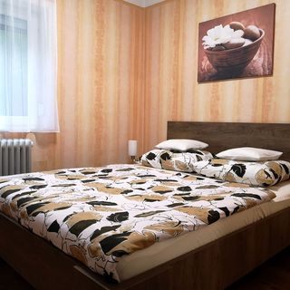 Csillag Vendégház Kiskunmajsa (5)