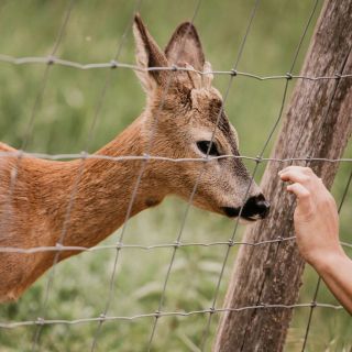 Szilvánusz Vendégház Ökopark Bükkösd (5)