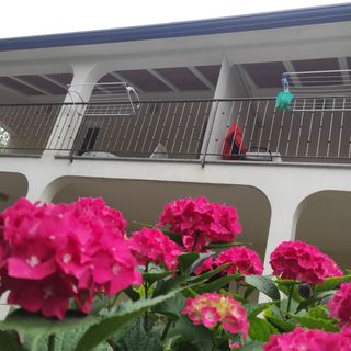 Apartmani Karmen Poreč (4)