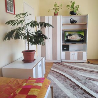 Városközponti Apartmanlakás Salgótarján (3)