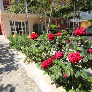 Apartmani Šimun Zadar (2)