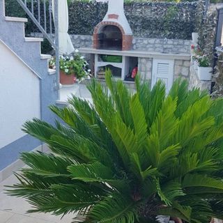 Apartmani Puljiz Trogir (5)