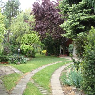 Lucy Lak Szántód (4)