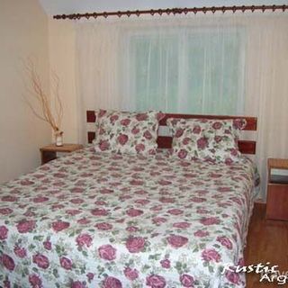 Pensiunea Rustic Argeșean Bucșenești (4)