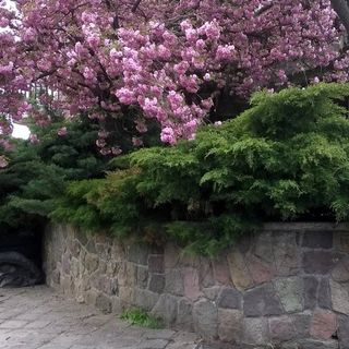 Cola Panzió Szentendre (5)