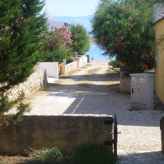 Apartman Žitna Uvala Vir (4)