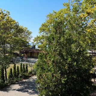 Napraforgó Apartmanok Balatonszemes (5)