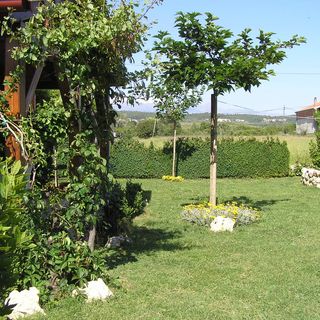 Kuća za Odmor Lucija Ražanac (4)