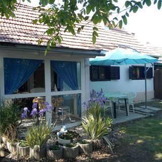 Lackó Kuckó Balatonlelle (2)