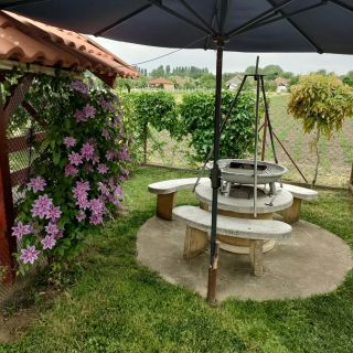 Tavirózsa Apartman Tiszafüred (2)