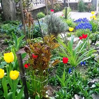 Bike Stop Duna Apartman Dunaszentmiklós (4)