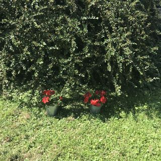 Marica Apartman Keszthely (4)